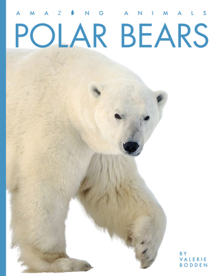 Polar Bears (Amazing Animals) By Valerie Bodden Cover Image