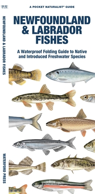 Newfoundland & Labrador Fishes: A Waterproof Folding Guide to Native and Introduced Freshwater Species (Pocket Naturalist Guide) Cover Image