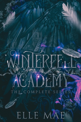 Winterfell Academy: A dark bully why choose Cover Image