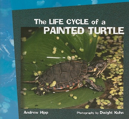 Cover for The Life Cycle of a Painted Turtle (Focus on Science)