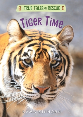 Tiger Time (True Tales of Rescue) Cover Image