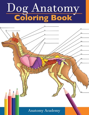 Dog Anatomy Coloring Book: Incredibly Detailed Self-Test Canine Anatomy Color workbook Perfect Gift for Veterinary Students, Dog Lovers & Adults Cover Image