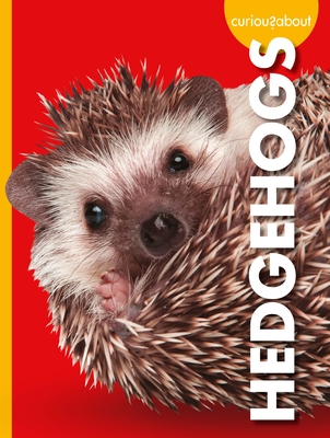 Curious about Hedgehogs By Alissa Thielges Cover Image