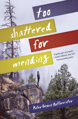 Cover for Too Shattered for Mending