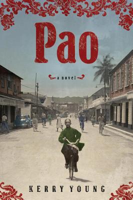 Cover Image for Pao: A Novel