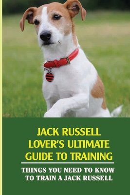 Jack Russel Training  Puppy Training & Dog Boarding