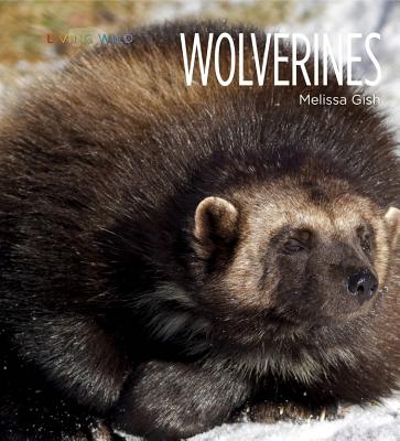 Living Wild: Wolverines By Melissa Gish Cover Image