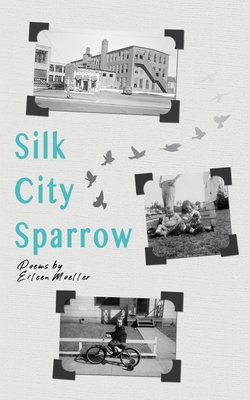 Silk City Sparrow By Eileen Moeller Cover Image