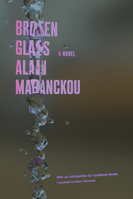 Broken Glass: A Novel Cover Image