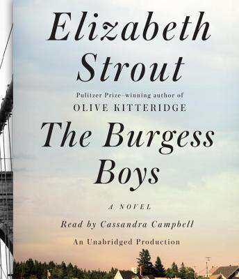 The Burgess Boys Cover Image