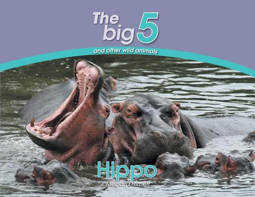 Hippo: The Big 5 and other wild animals (Paperback) | Books and Crannies