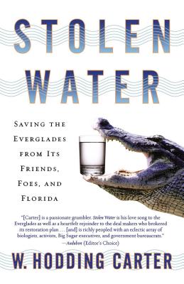 Stolen Water: Saving the Everglades from Its Friends, Foes, and Florida Cover Image