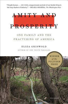 Amity and Prosperity: One Family and the Fracturing of America By Eliza Griswold Cover Image