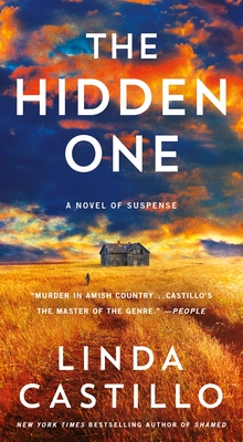 Cover for The Hidden One: A Novel of Suspense (Kate Burkholder #14)