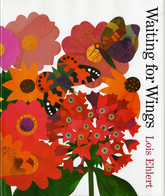 Waiting for Wings By Lois Ehlert, Lois Ehlert (Illustrator) Cover Image