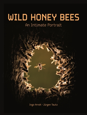 Wild Honey Bees: An Intimate Portrait By Ingo Arndt, Jürgen Tautz, Thomas D. Seeley (Foreword by) Cover Image