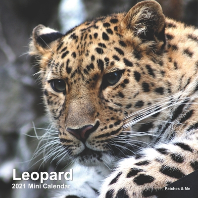 Leopard: 2021 Mini Calendar By Patches And Me Cover Image