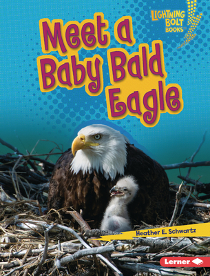 Meet a Baby Bald Eagle (Lightning Bolt Books (R) -- Baby North American Animals)