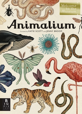 Animalium: Welcome to the Museum By Jenny Broom, Katie Scott (Illustrator) Cover Image