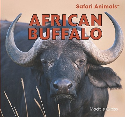 African Buffalo (Safari Animals) By Maddie Gibbs Cover Image
