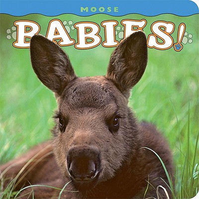 Moose Babies! (Babies! (Farcountry Press))
