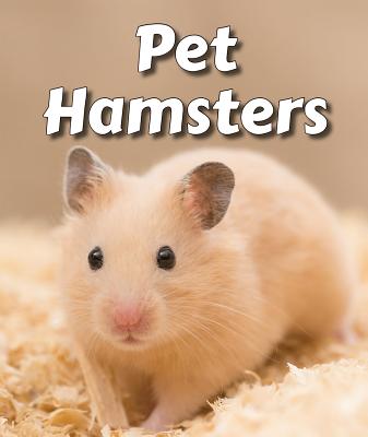 10 Surprising Facts About Hamsters