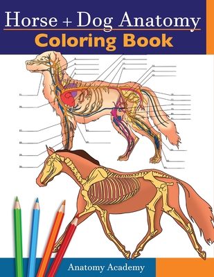 Horse + Dog Anatomy Coloring Book: 2-in-1 Compilation Incredibly Detailed Self-Test Equine & Canine Anatomy Color workbook Perfect Gift for Veterinary By Anatomy Academy Cover Image