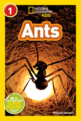 National Geographic Readers: Ants By Melissa Stewart Cover Image