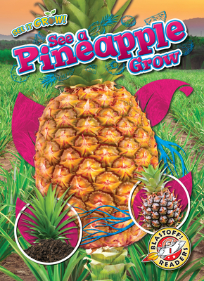 Trader Joe's Pineapple Tidbits (Frozen)