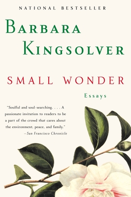 Small Wonder: Essays Cover Image