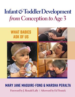Infant and Toddler Development from Conception to Age 3: What Babies Ask of Us Cover Image