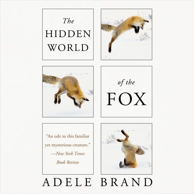 The Hidden World of the Fox By Adele Brand, Jane McDowell (Read by) Cover Image