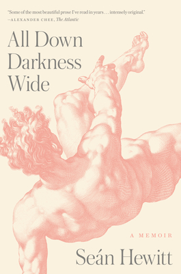 All Down Darkness Wide: A Memoir By Seán Hewitt Cover Image