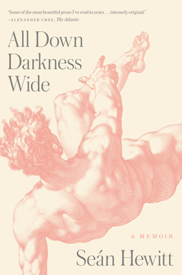 All Down Darkness Wide: A Memoir Cover Image