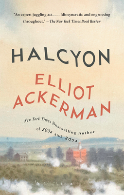 Halcyon: A novel Cover Image