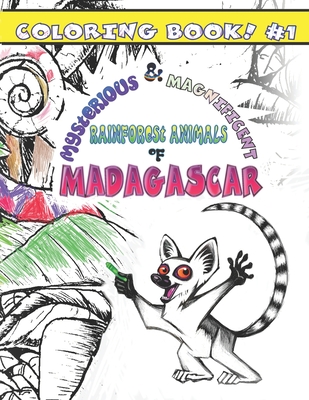 Download Mysterious Magnificent Rainforest Animals Of Madagascar Coloring Book 1 Paperback Point Reyes Books