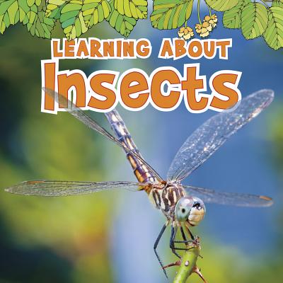 Learning about Insects (Natural World) By Catherine Veitch Cover Image