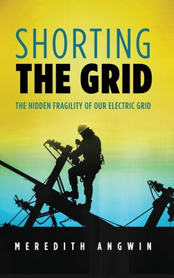Shorting the Grid: The Hidden Fragility of Our Electric Grid Cover Image