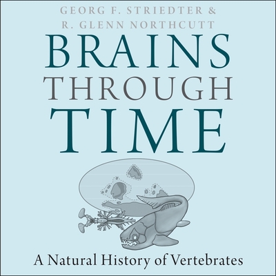Brains Through Time Lib/E: A Natural History of Vertebrates By Tom Perkins (Read by), R. Glenn Northcutt, Georg Striedter Cover Image