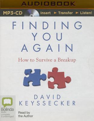 Finding You Again: How to Survive a Breakup Cover Image