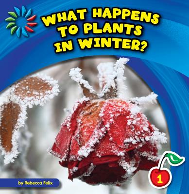 What Happens to Plants in Winter? (21st Century Basic Skills Library: Let's Look at Winter) By Rebecca Felix, Lauren McCullough (Narrated by) Cover Image