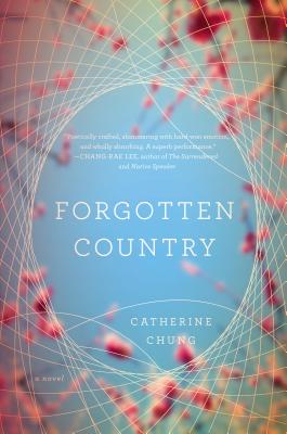 Cover Image for Forgotten Country: A Novel