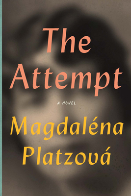 Cover for The Attempt