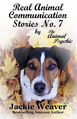 Real Animal Communication Stories No. 7: by The Animal Psychic