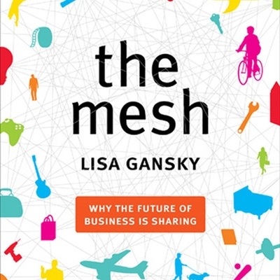 Cover for The Mesh