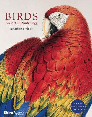 Birds: The Art of Ornithology Cover Image