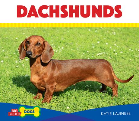 Dachshunds (Big Buddy Dogs) By Katie Lajiness Cover Image