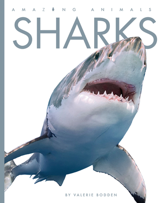 Cover for Sharks (Amazing Animals)