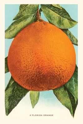 Vintage Journal Florida Orange By Found Image Press (Producer) Cover Image