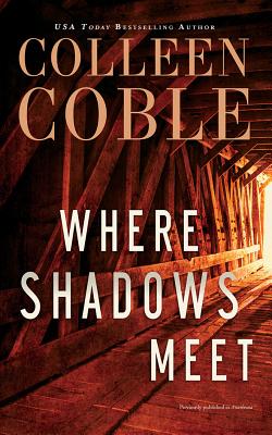 Where Shadows Meet: A Romantic Suspense Novel Cover Image